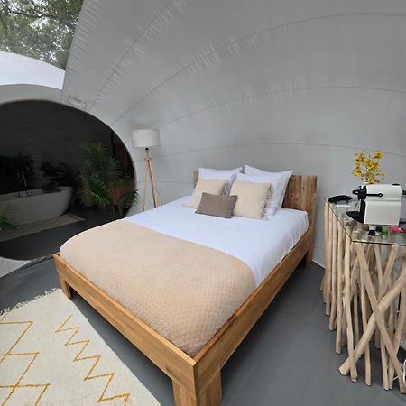 La Bulle Perchee De Chantilly グヴュー エクステリア 写真
